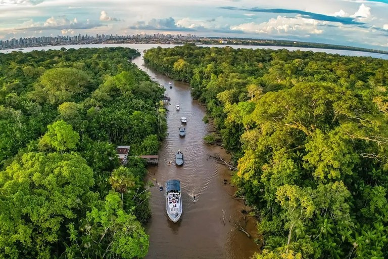 Imagem - Governo Federal lança consulta pública sobre sustentabilidade do jornalismo ambiental; confira